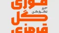 فونت مربع (اقتصادی) -خرید قانونی فونت مربع ارزان - Image 2